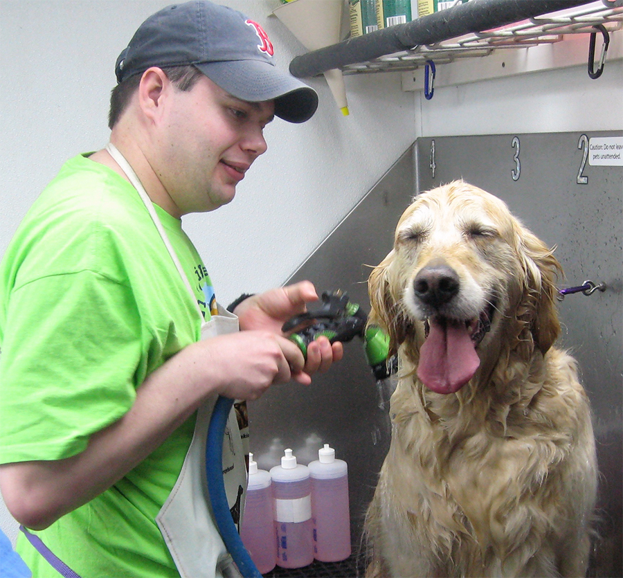 Service dog getting a bath at the groomers