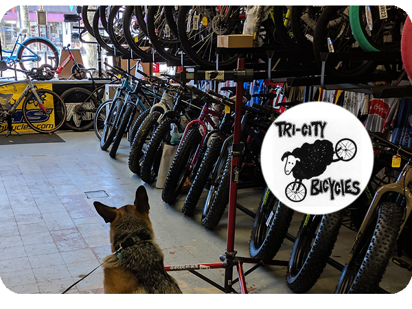 tri city bicycles
