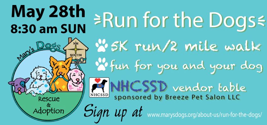 Run for the Dogs
