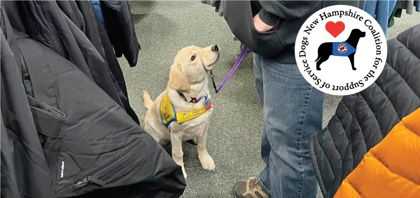 Services Dog out at store