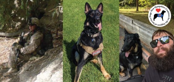 Marinr rests on patrol break. Arvin the German Shepard service dog, Arvin and Aaron relaxing in the park