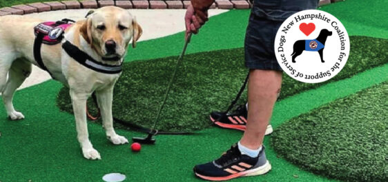 Service dog and handler at mini golf course