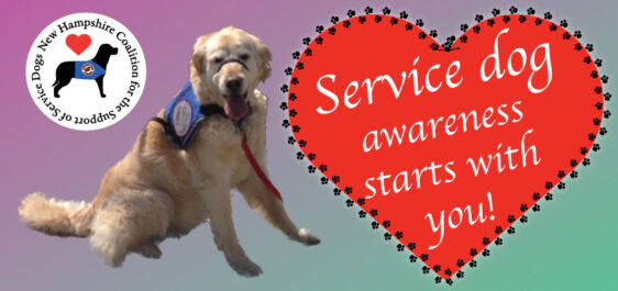 NHCSSD logo next to a Golden Retriever service dog sitting next to a heart that says "Service dog awareness starts with you!"