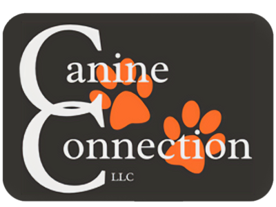 Canine Connection Laconia NH