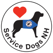 Service Dogs New Hampshire
