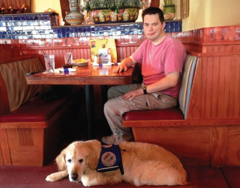 Most fully trained service dogs are trained lay quietly by their handler.