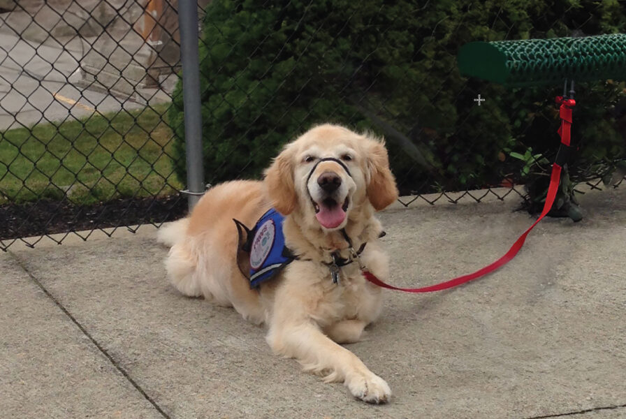 Service dogs are incredibly well trained and it's extremely rare for one to be out of control in a public space.