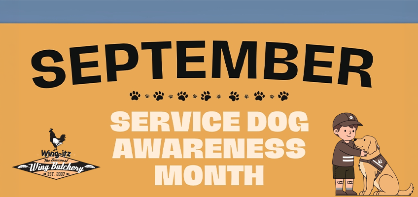 The image is a wide banner promoting September as Service Dog Awareness Month. It has a warm, friendly, community-oriented design with an orange background. At the very top is a blue horizontal strip. The word “SEPTEMBER” appears prominently across the upper portion in very large, bold, black letters. The letters have a slightly playful, uneven orientation. Beneath “SEPTEMBER” is a decorative row of black and gray paw prints, alternating in size and direction. The main message, centered in the middle, reads:
“SERVICE DOG AWARENESS MONTH”
The words are in large, bold, white block lettering, making them stand out strongly against the orange background. In the lower-left corner is a black-and-white Wing-Itz / Wing Buttery logo, featuring a bird and the text “The Original Wing Buttery” and “Est. 2007.” In the lower-right corner is a cartoon illustration of a child or young person sitting beside and petting a service dog. The person is wearing a dark cap, brown clothing, and a vest or harness. The golden-colored dog is wearing a black service-dog vest/harness with a paw-print symbol. The overall color palette is orange, black, white, blue, and tan, giving the banner a cheerful and approachable appearance.